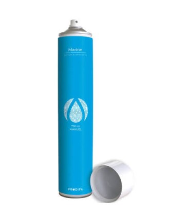 Désodorisant aérosol marine 750ml