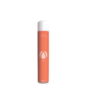 Désodorisant aérosol pêche 750ml