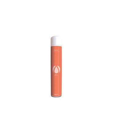 Désodorisant aérosol pêche 750ml