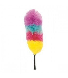 Plumeau poussière Thomas