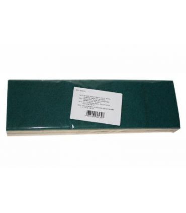 Tampon vert sur éponge 11x7 cm  first x10 Tampon vert sur éponge 11x7 cm  first x10