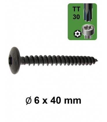 Vis penture Tête TT Ø 6 x 40 mm