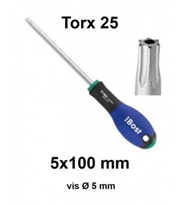Tournevis torx tamper expert T25  5X100mm Tournevis torx tamper expert T25  5X100mm