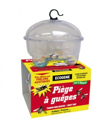 Piege à guêpes