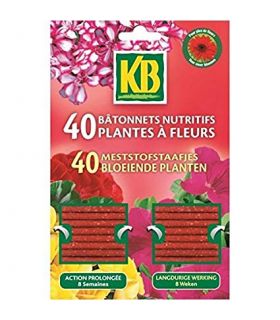 Bâtonnets plantes fleurs kb x40