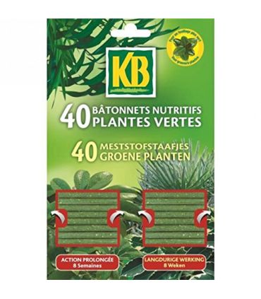 Bâtonnets plantes vertes kb x40