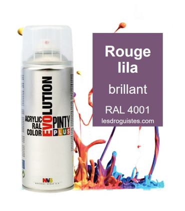Pinty bombe 400ml violet ral4001 bri.613