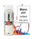 Pinty bombe 400ml blanc ral 9010