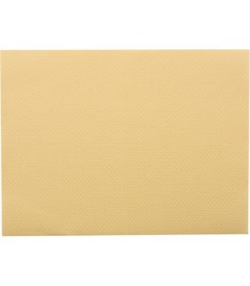 Set de table vanille 30 x40 cm par 500