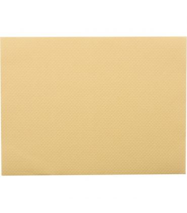 Set de table vanille 30 x40 cm par 500