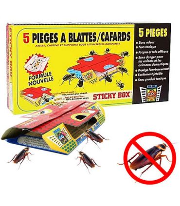Piège à cafards x5