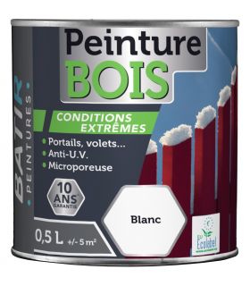 Peinture extérieure bois Tollens satin noir 500ml