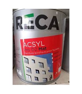 Peinture façade acrylique 1L couleur