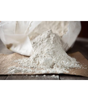 Vente Terre de diatomée Nice Riquier Insecticide punaises de lit | Prévention