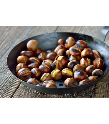 Magasin poêle à marrons Nice | Poêle châtaignes