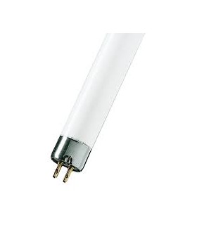 Tube fluo t5 8w 290mm 830lm blanc froid 4000k Osram