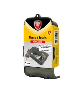 Piège nasse 4 souris