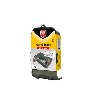 Piège nasse 4 souris