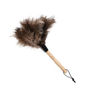 Plumeau d'autruche 20cm
