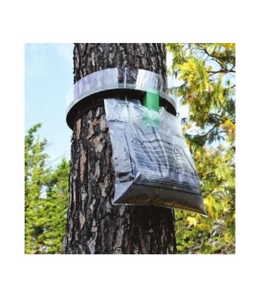 Piège contre les chenilles processionnaire du pin à Nice