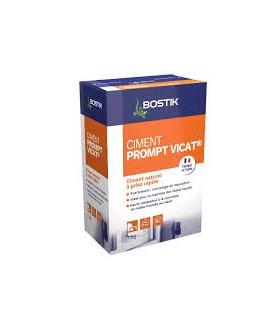 Ciment prompt vicat 1kg Bostik