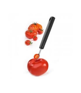 Ecornoir à tomates et fruits