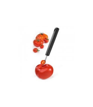 Ecornoir à tomates et fruits