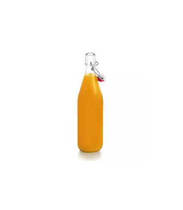 Limonadier bouteille 1L Le Parfait