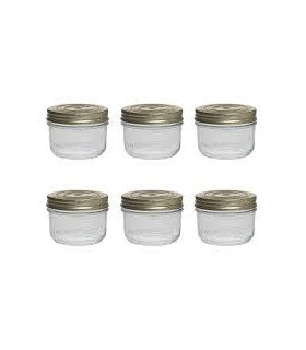 Terrine Wiss 500g d.100 Le Parfait x6