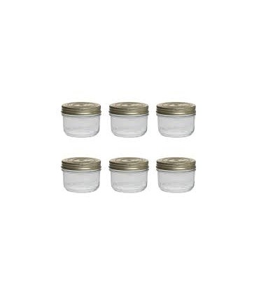 Terrine Wiss 500g d.100 Le Parfait x6